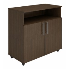 Шкаф низкий с дверцами и нишей ШН-2