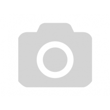 Фиксатор MS Pro